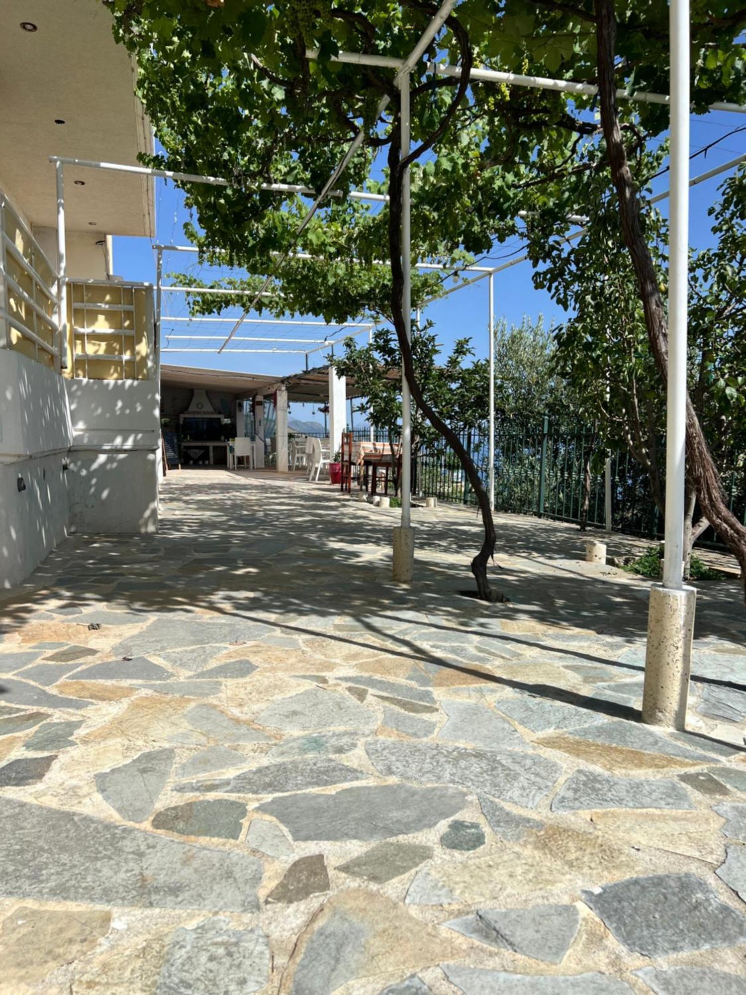 Villa Filip Vuno Экстерьер фото