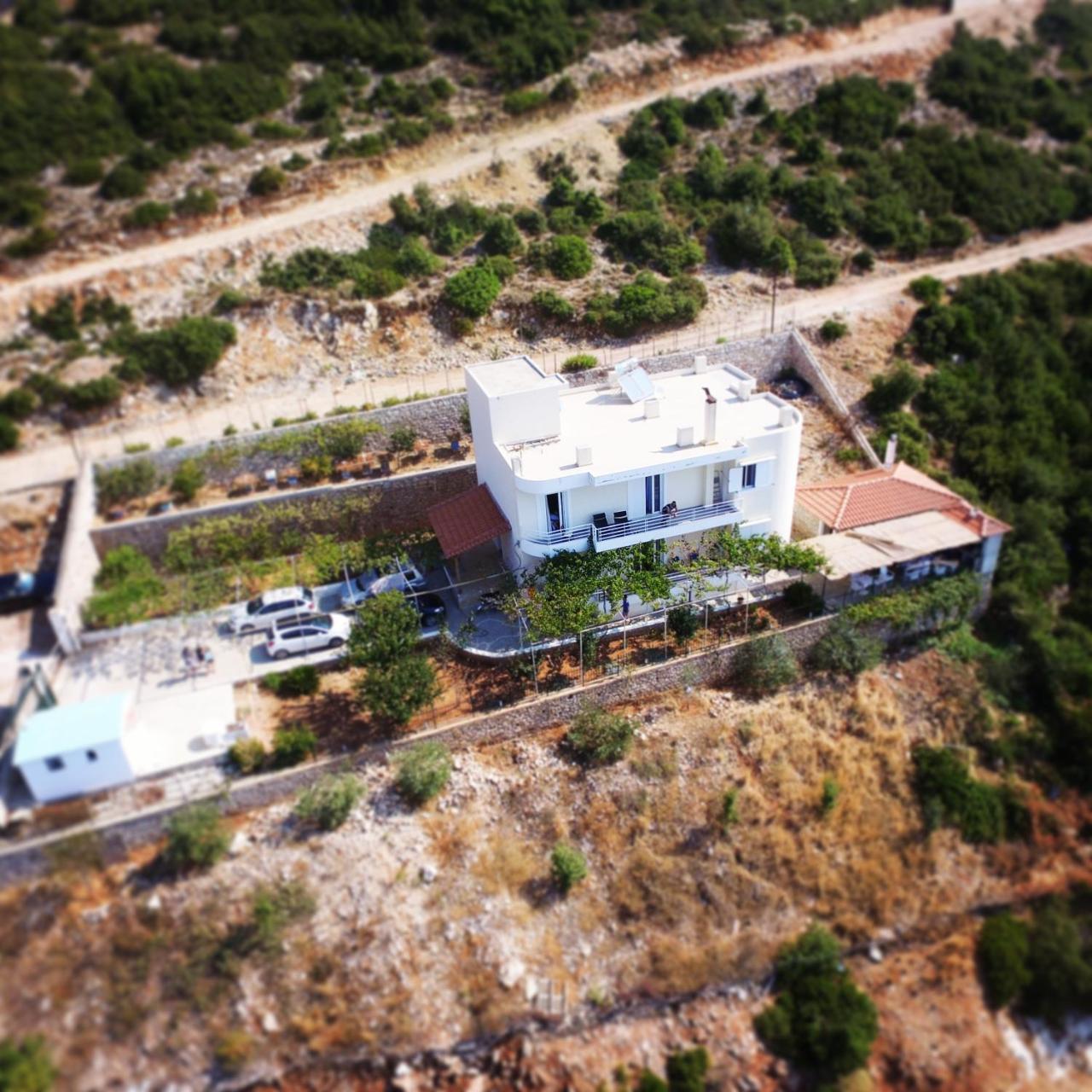 Villa Filip Vuno Экстерьер фото